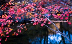 三个男人一起舔我好爽